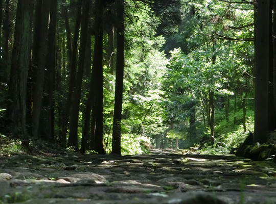 nakasendo (10)