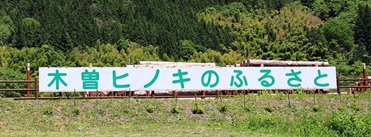 木曽檜のふるさと ― 赤沢自然休養林 木曽檜のふるさと ― 赤沢自然休養林