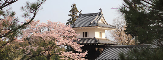 岩村城をご存知ですか? 岩村城をご存知ですか?