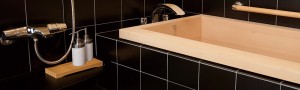 system_bath